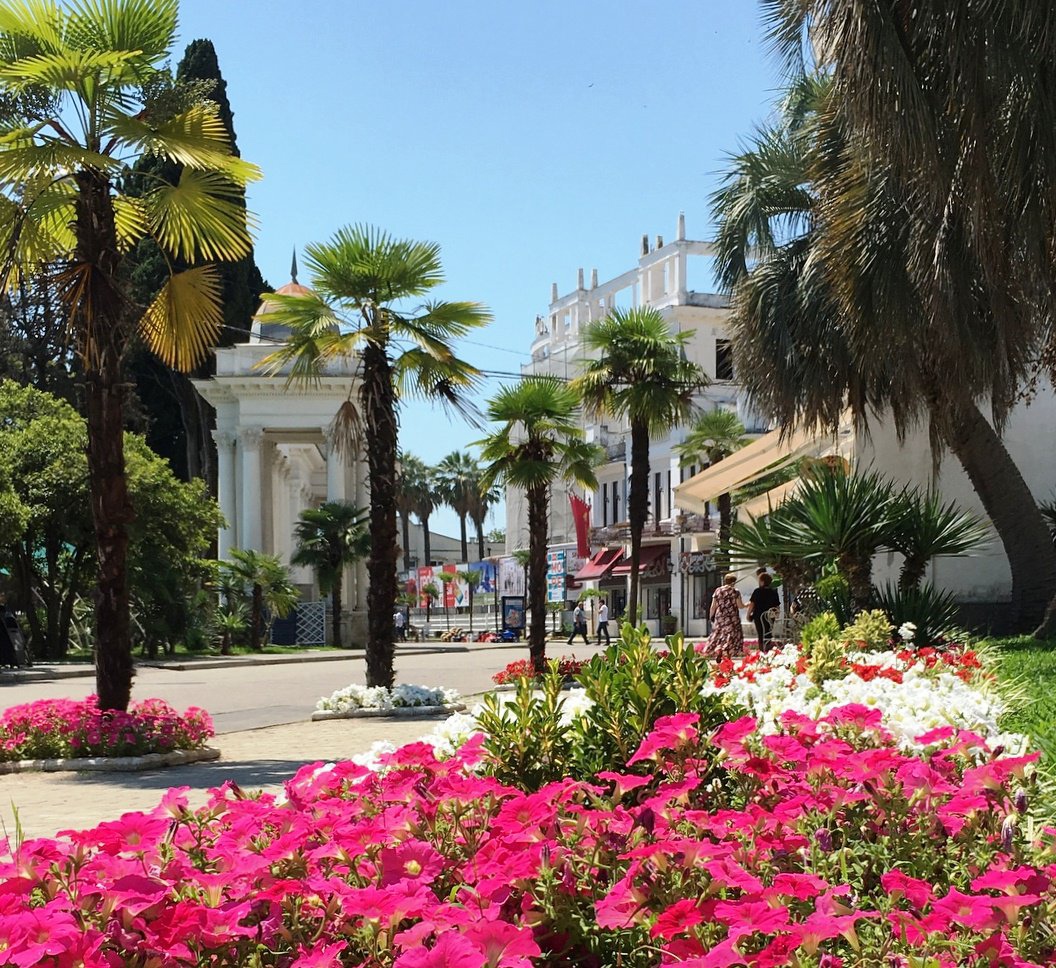 Абхазия за 3 дня! Все основные достопримечательности! (8/34)