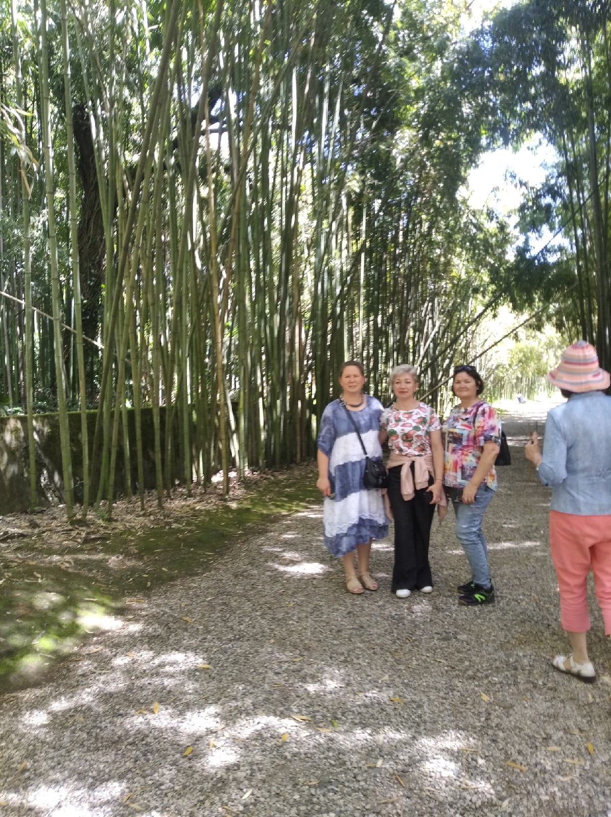 Абхазия за 3 дня! Все основные достопримечательности! (14/34)