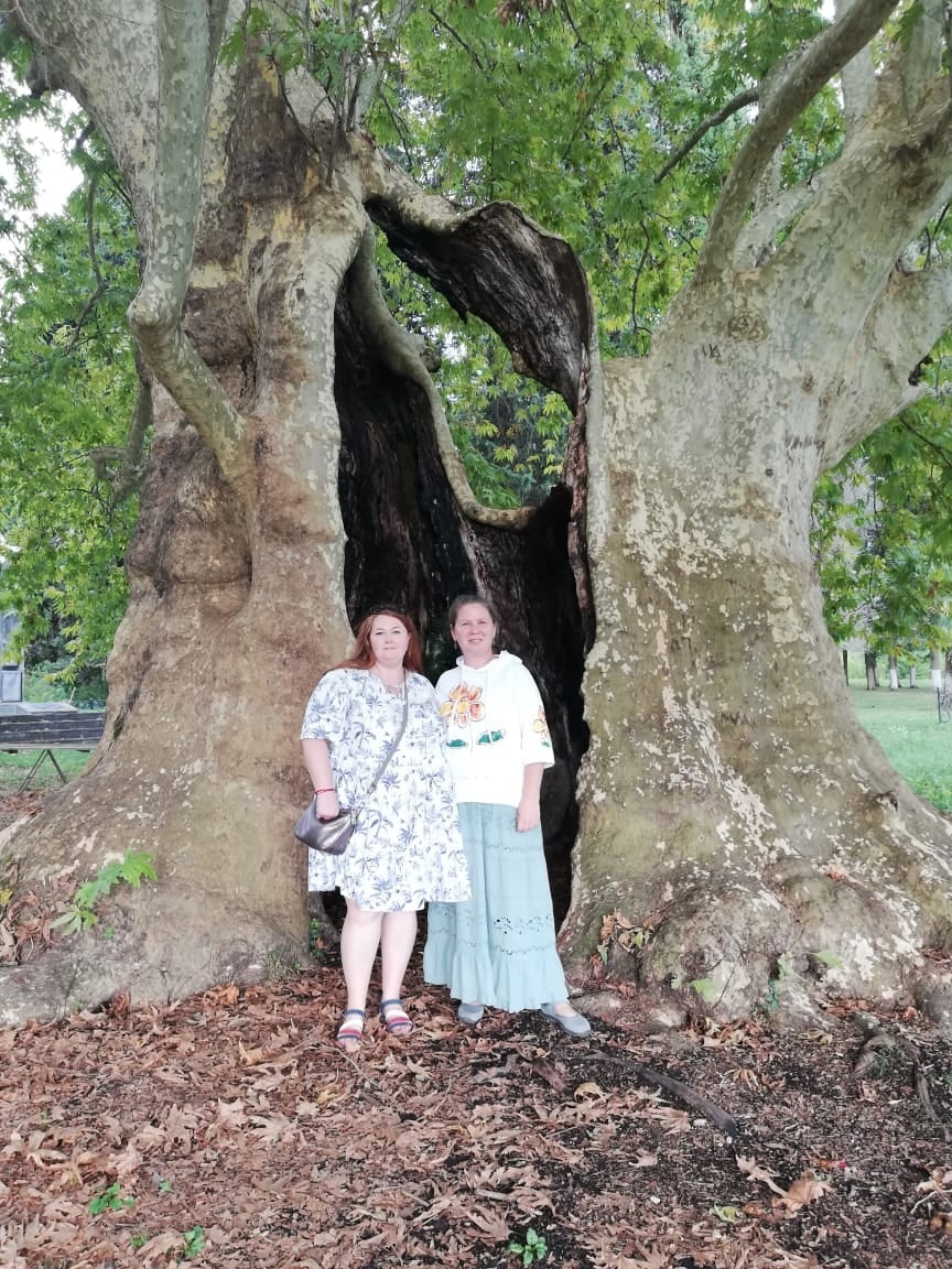 Абхазия за 3 дня! Все основные достопримечательности! (11/34)