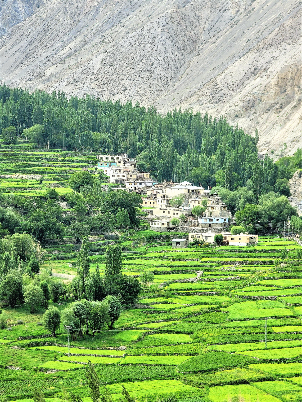 Поход в долину Чаракуса (поход в базовый лагерь K7) (14/52)