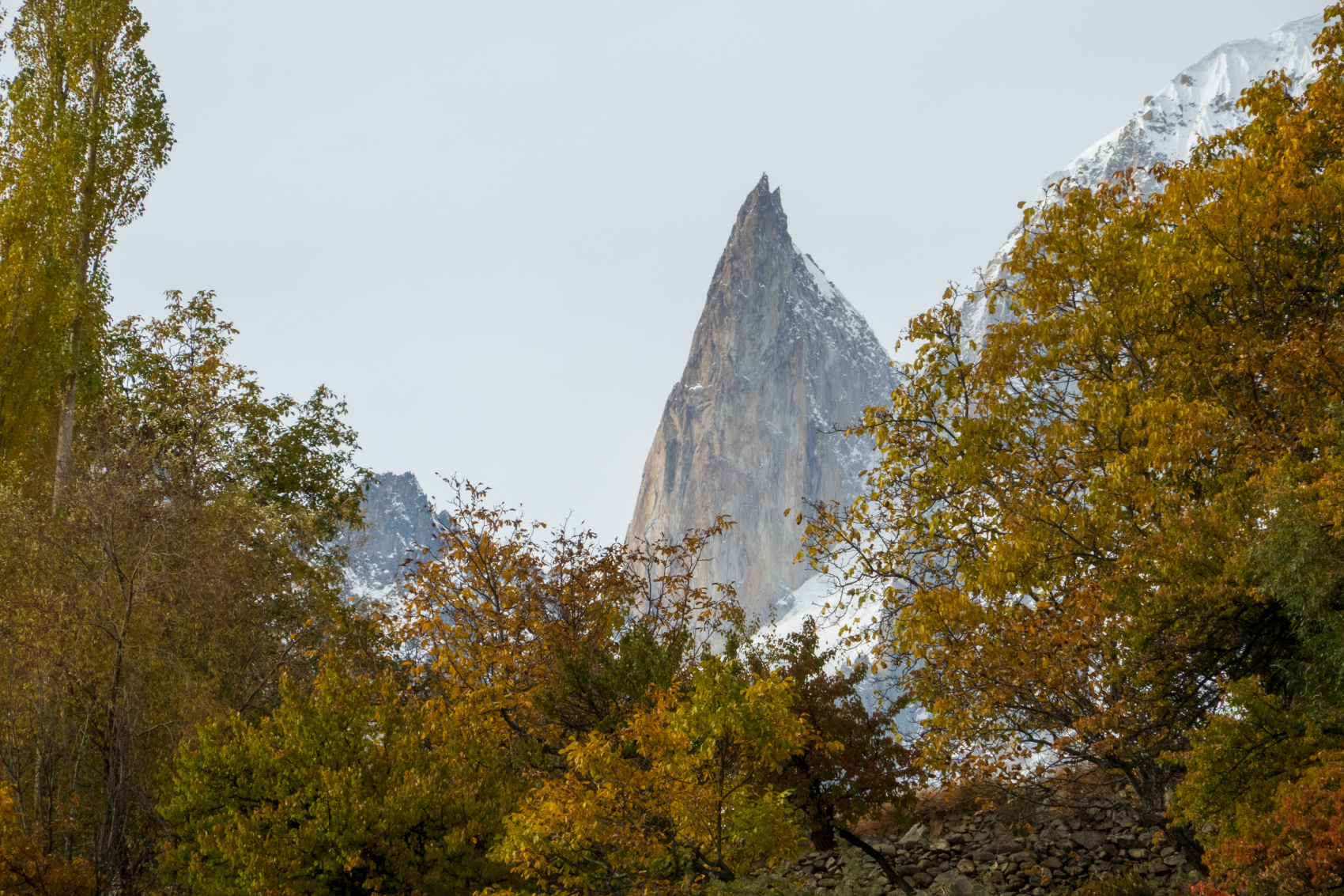 Культурный тур по долине Хунзы и Скарду (35/89)