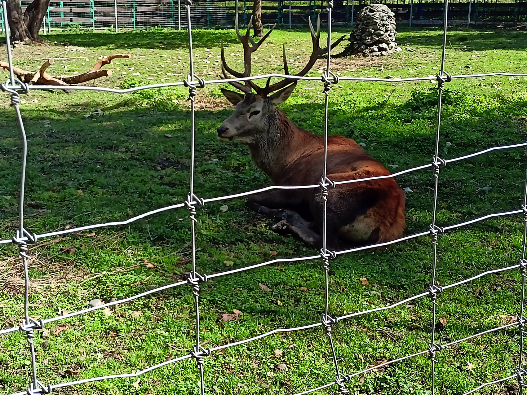 Волшебная Адыгея (53/85)