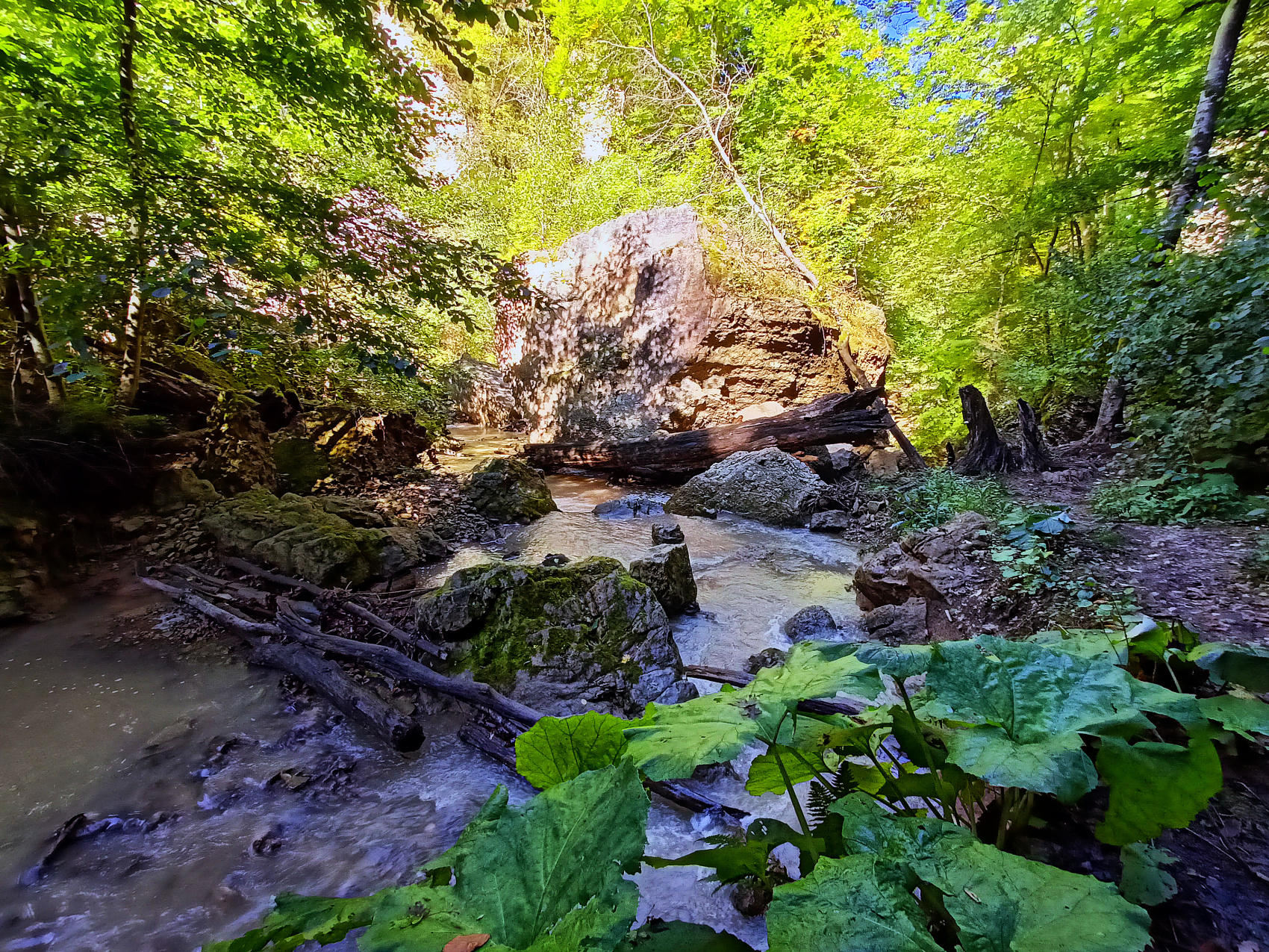 Волшебная Адыгея (28/85)