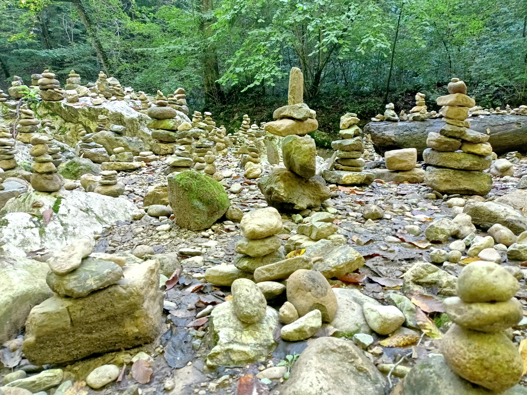 Волшебная Адыгея (20/85)