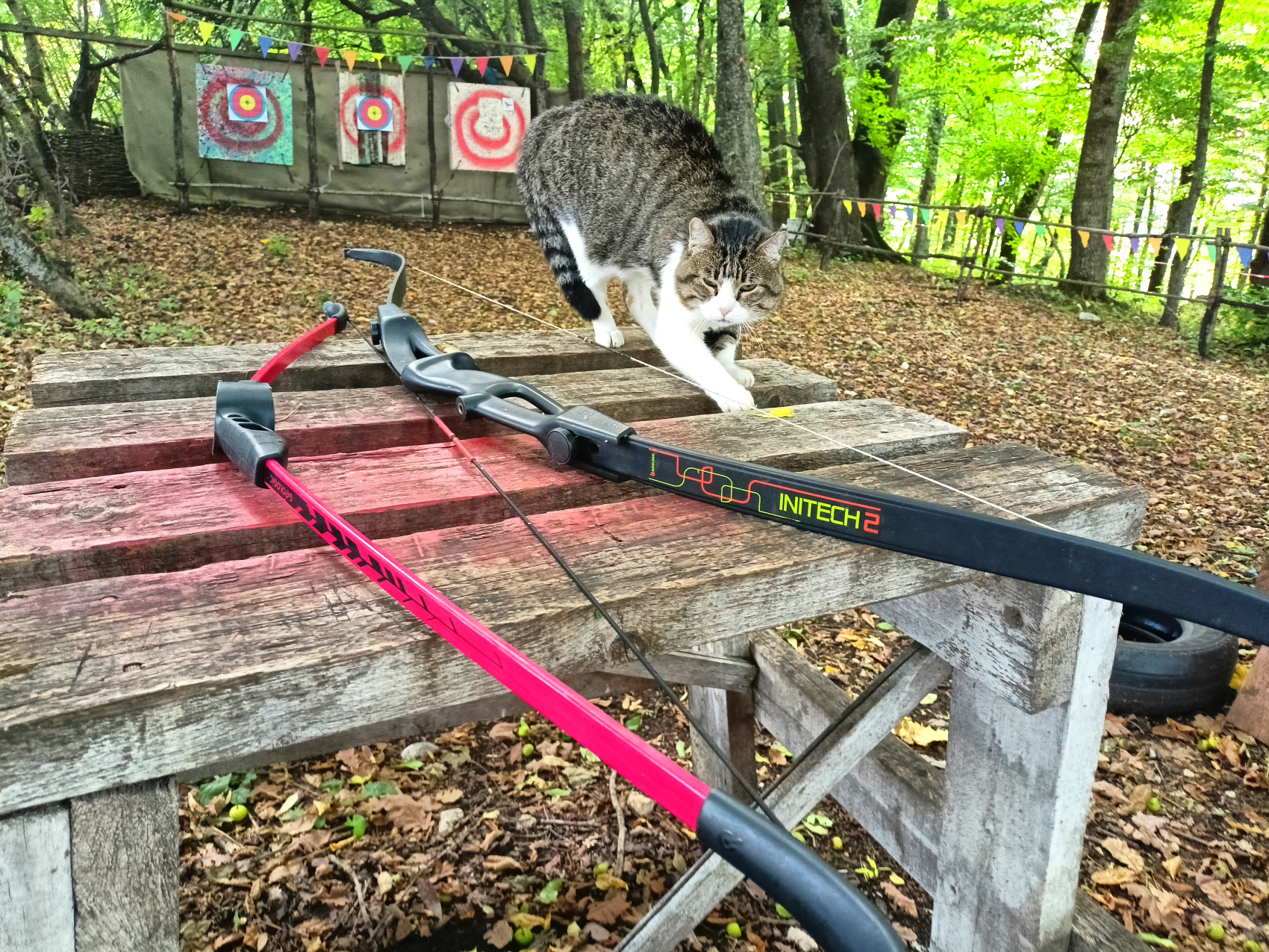 Волшебная Адыгея (44/85)