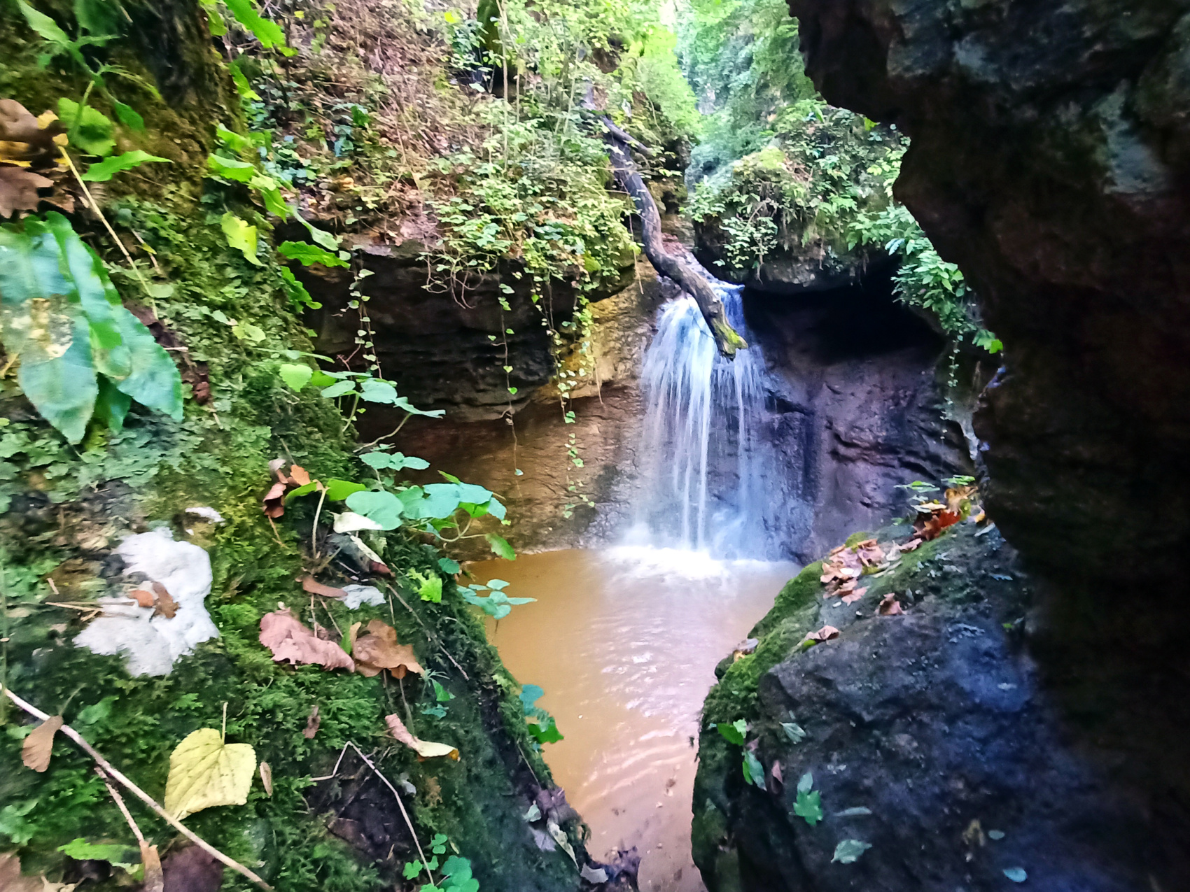 Волшебная Адыгея (12/85)