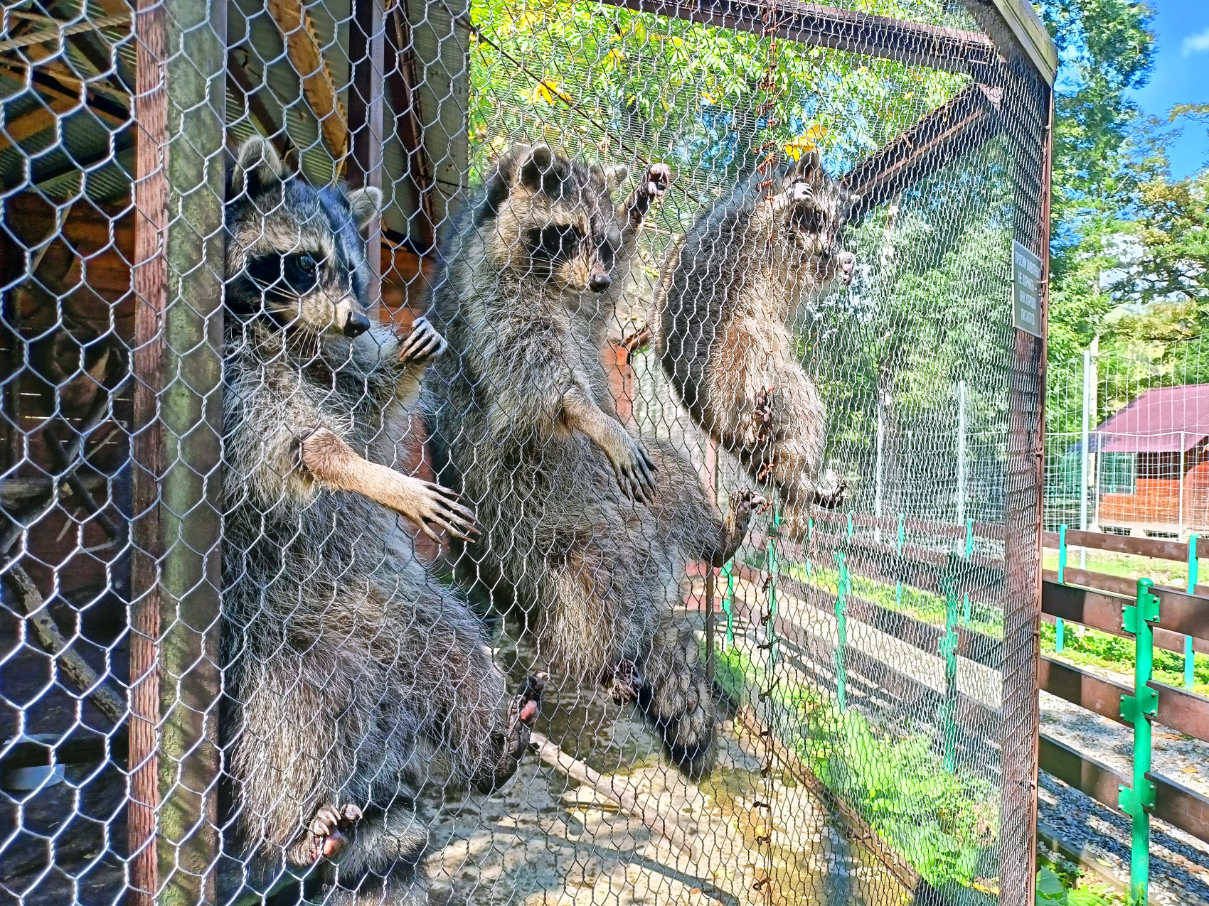 Волшебная Адыгея (52/85)