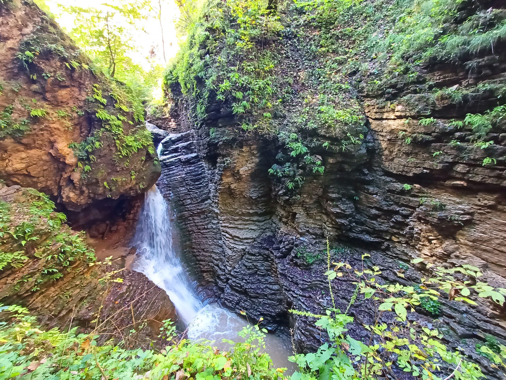 Волшебная Адыгея (22/85)