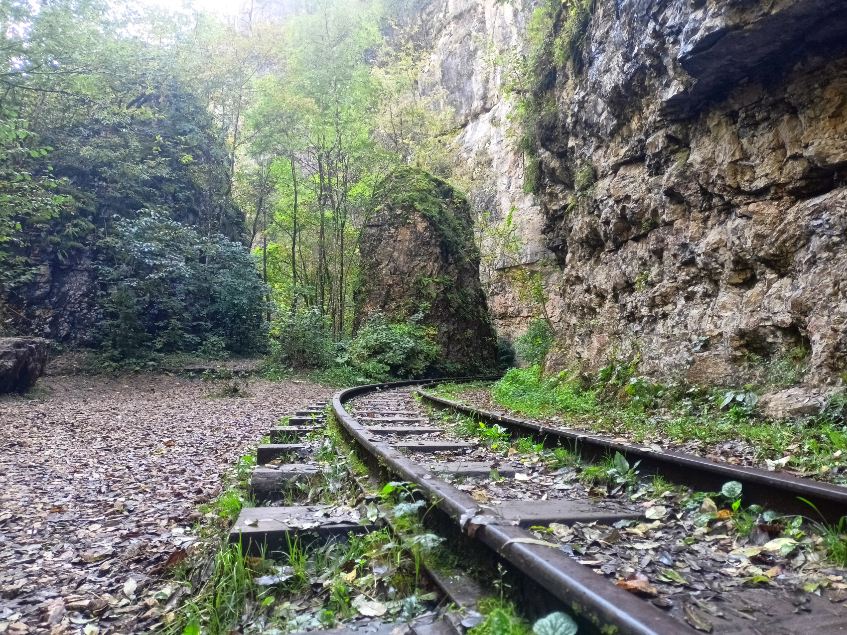 Волшебная Адыгея (61/85)