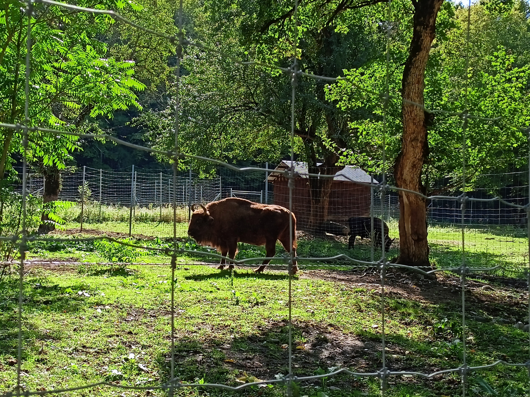 Волшебная Адыгея (50/85)