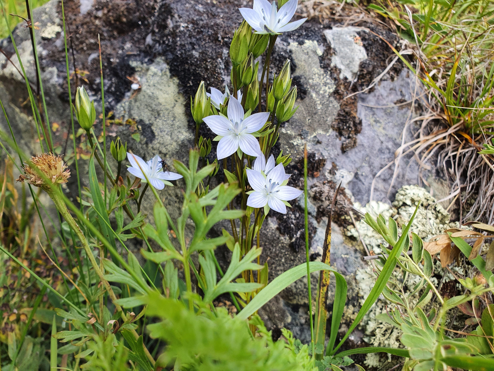 Пеший тур в долину Маашей и озерам Каракабак (13/18)