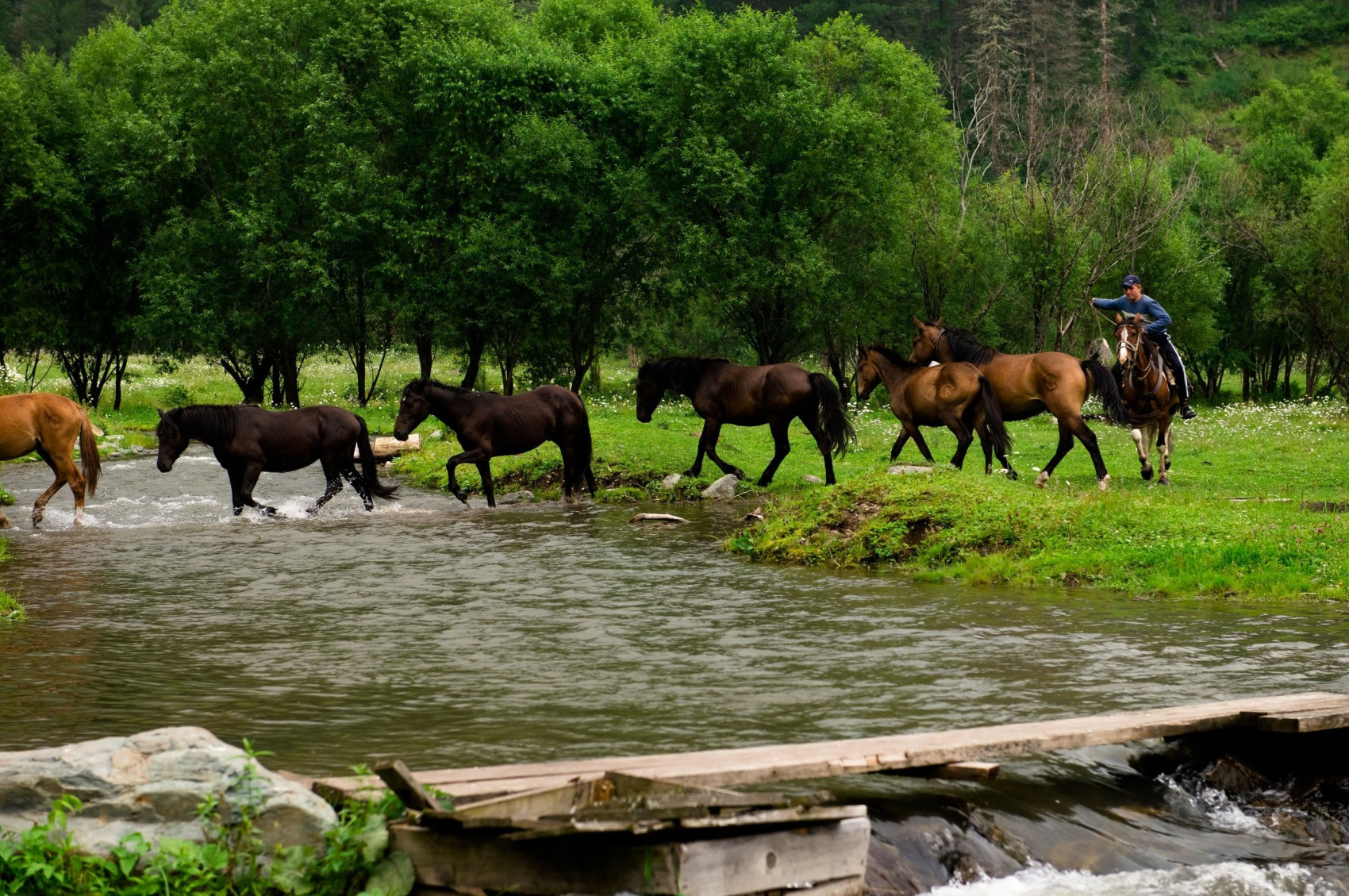 Конный тур к цепочке из семи Каракольских озер (4/21)