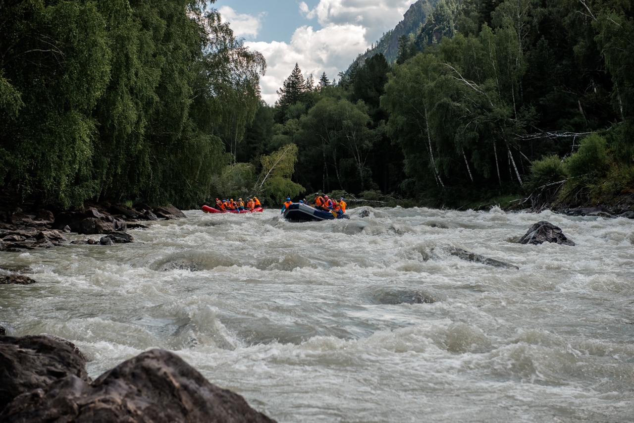 Сплав по рекам Чуя и Катунь (5/21)