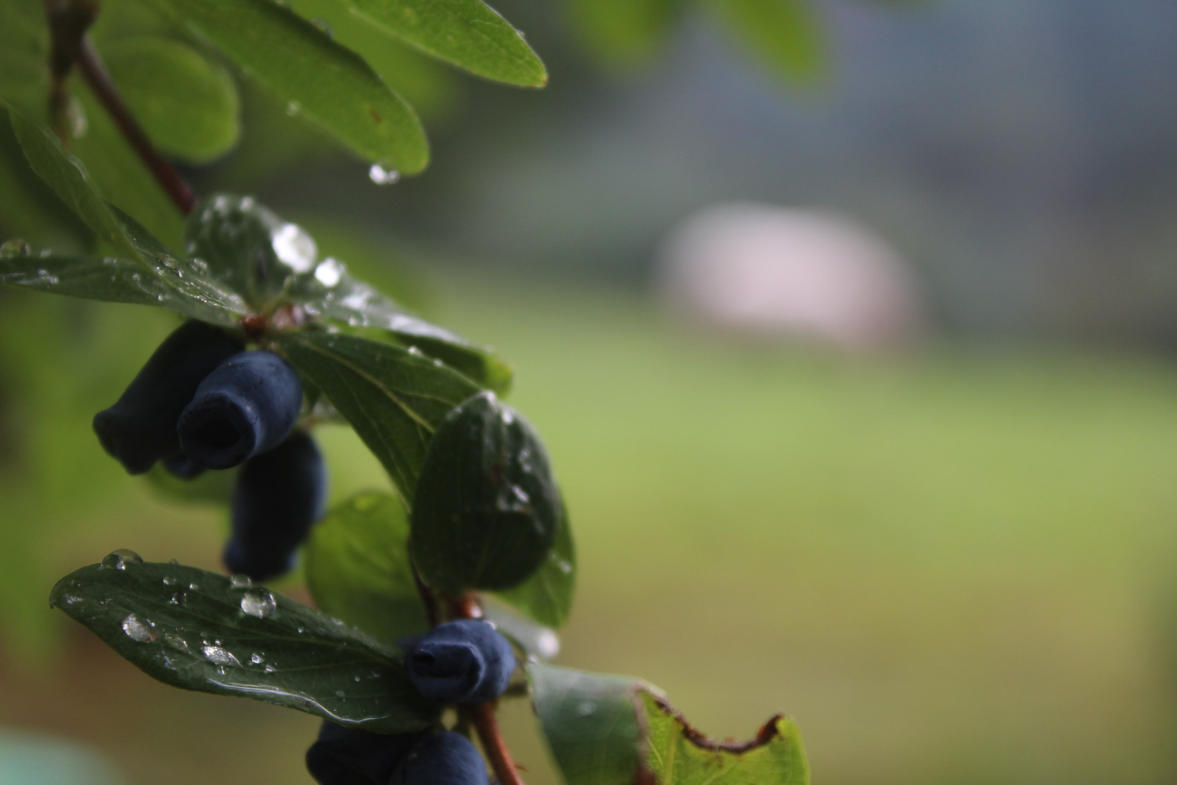 Конный тур к Шавлинским и Каракабакским озерам (16/21)