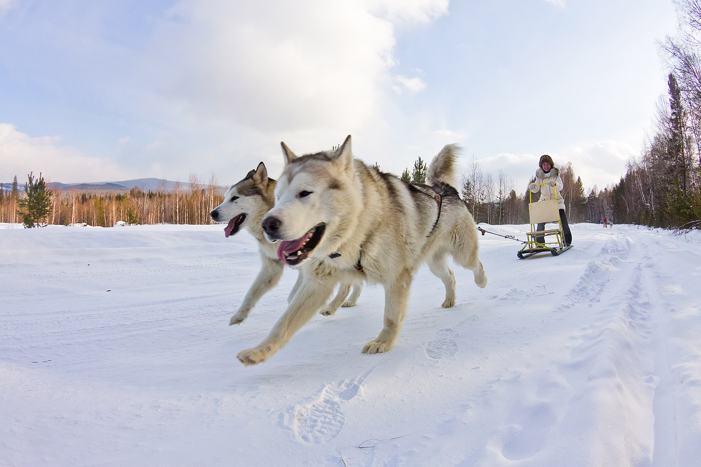 Зимний тур Сказочный Байкал (без трэкинга) (7/28)
