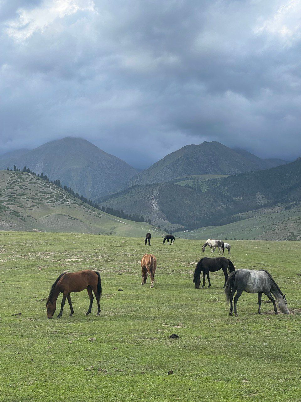 Невероятная Киргизия (13/38)