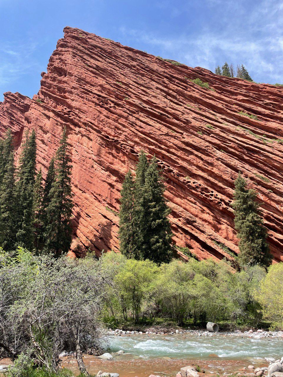 Невероятная Киргизия (16/38)