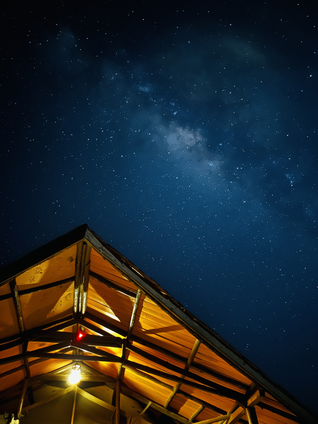 Сафари в Кении - увидеть всю пятерку животных! (32/43)