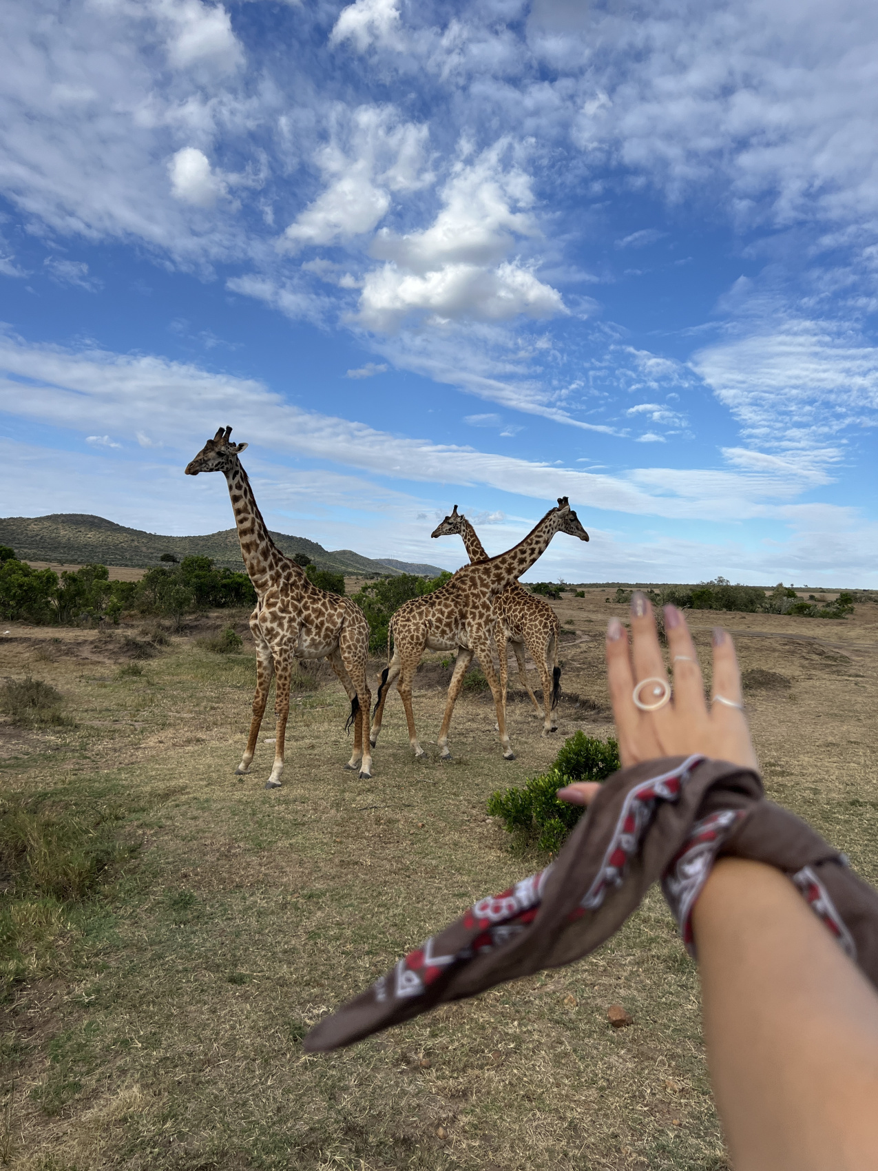 Сафари в Кении - увидеть всю пятерку животных! (43/43)