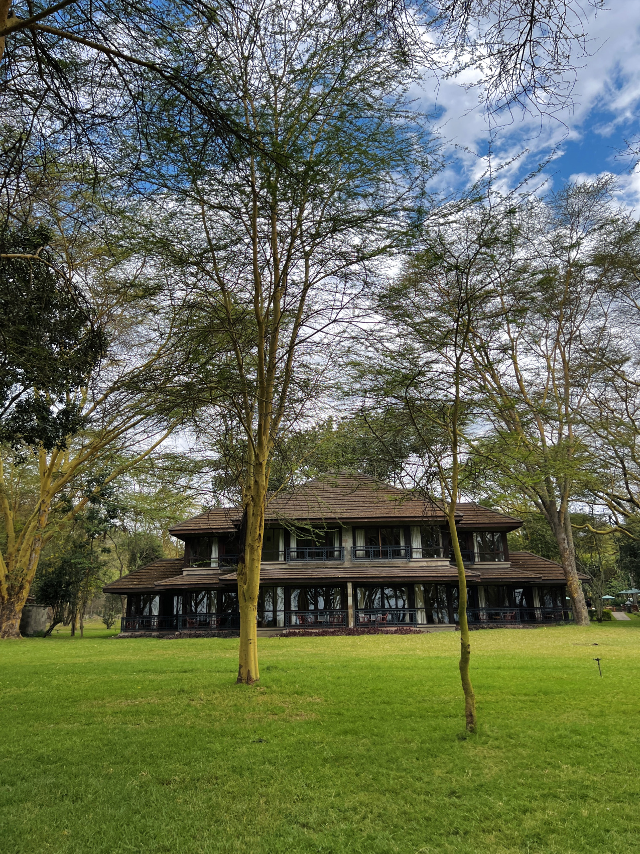 Сафари в Кении - увидеть всю пятерку животных! (40/43)