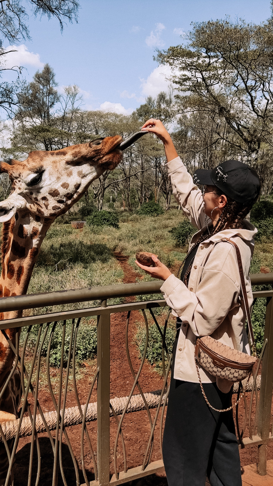 Сафари в Кении - увидеть всю пятерку животных! (8/43)