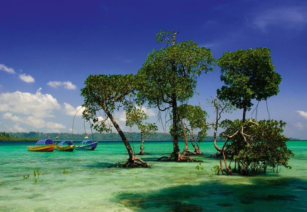 ЗАТЕРЯННЫЙ МИР: Андаманы! (26/62)