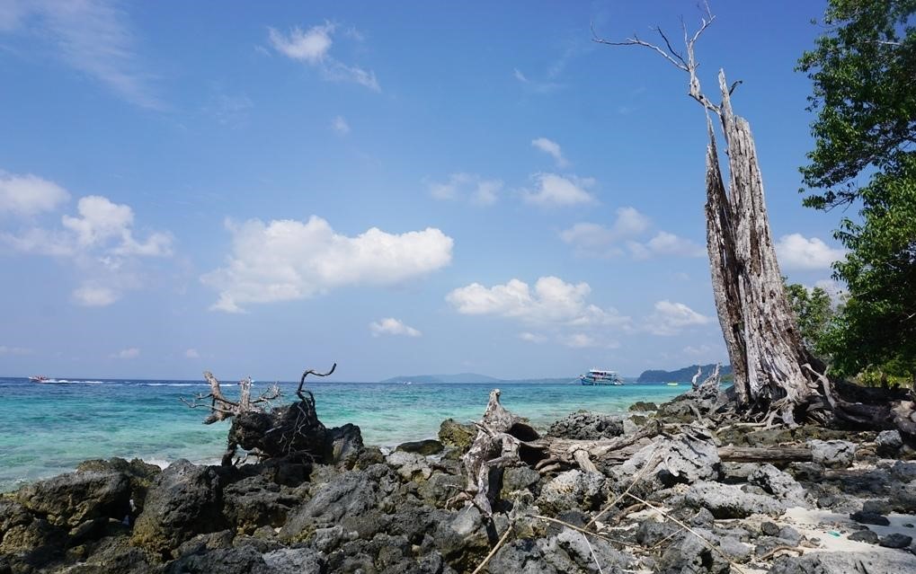 ЗАТЕРЯННЫЙ МИР: Андаманы! (21/62)