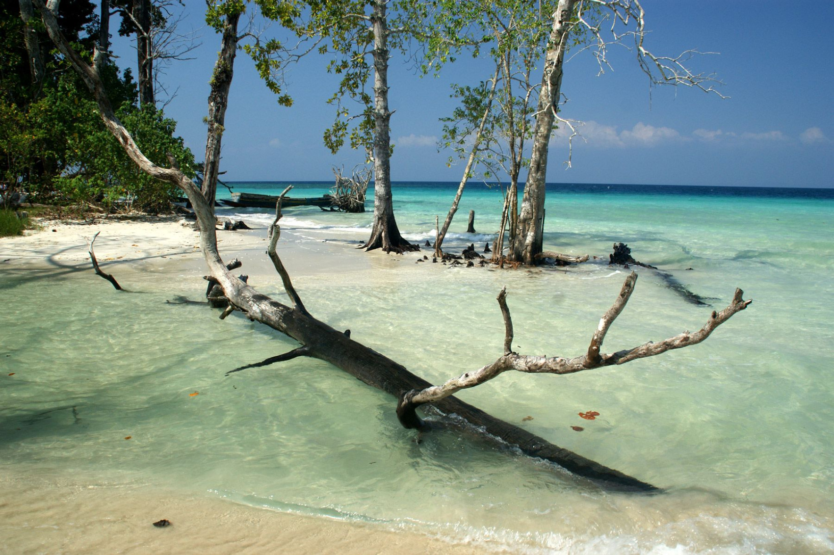 ЗАТЕРЯННЫЙ МИР: Андаманы! (16/62)