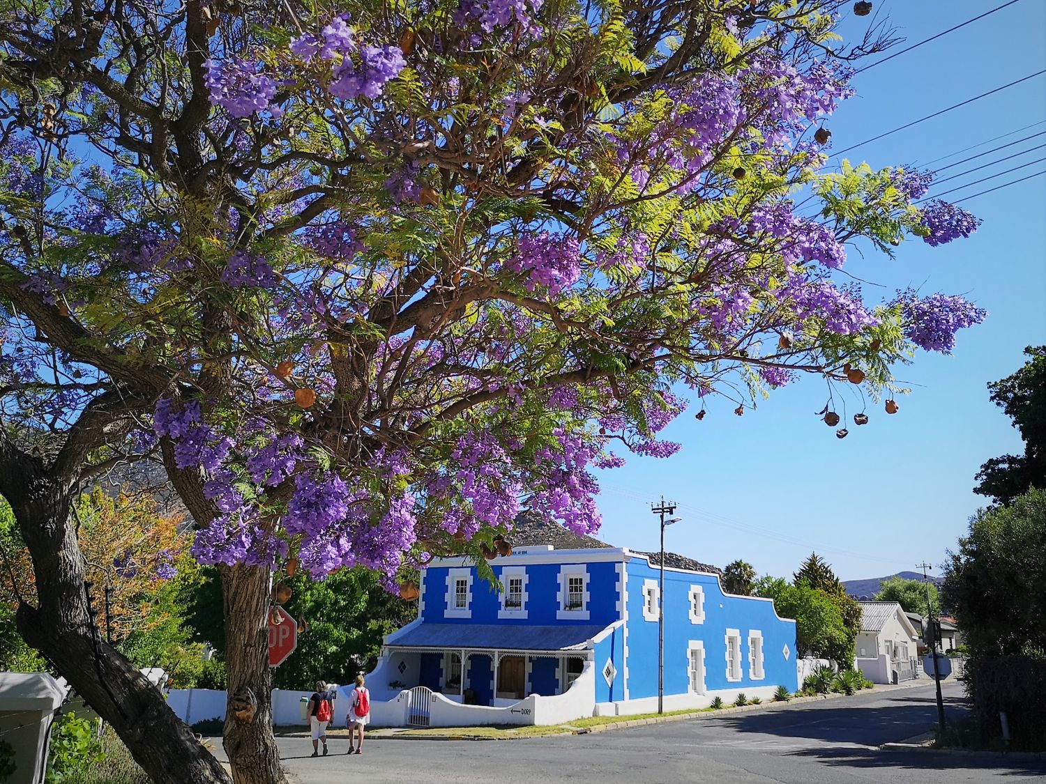 Топ-тур в Юар: треккинги, сафари и киты (10/64)