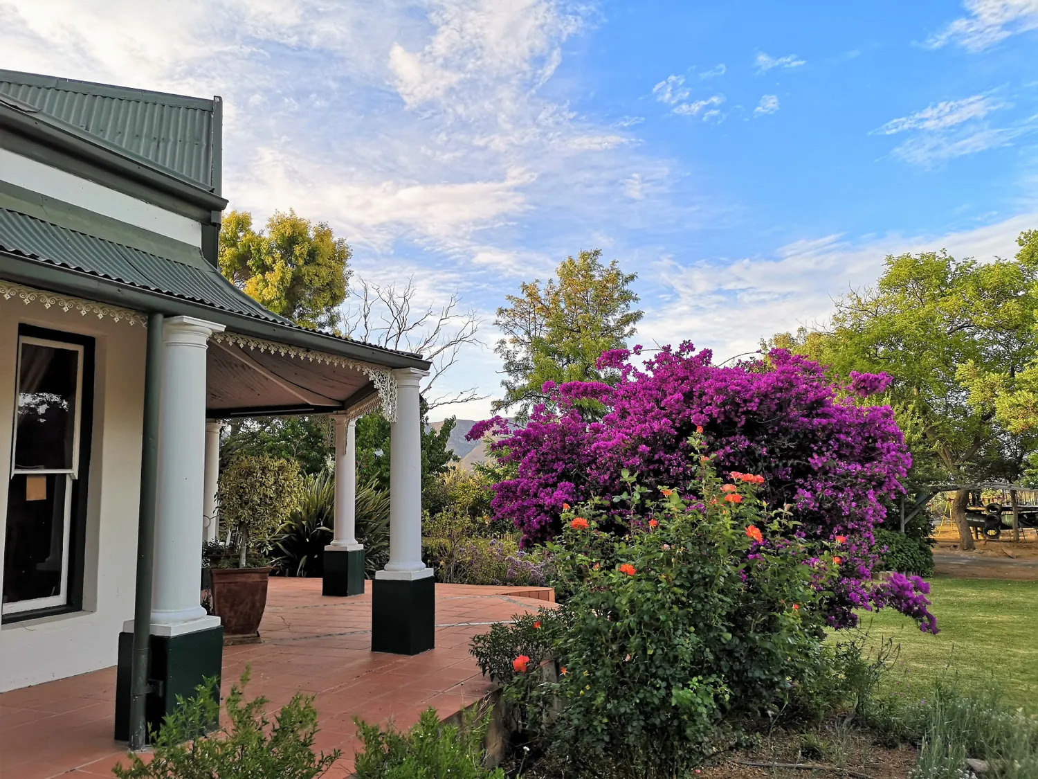 Топ-тур в Юар: треккинги, сафари и киты (15/64)