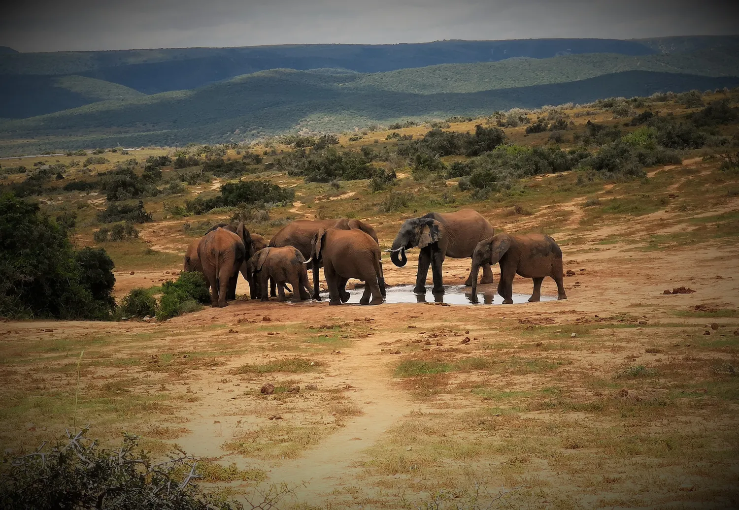 Топ-тур в Юар: треккинги, сафари и киты (5/64)