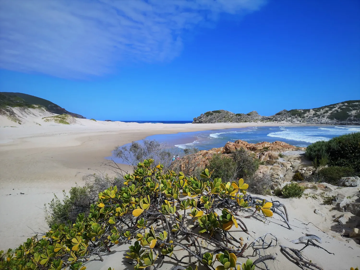 Топ-тур в Юар: треккинги, сафари и киты (16/64)