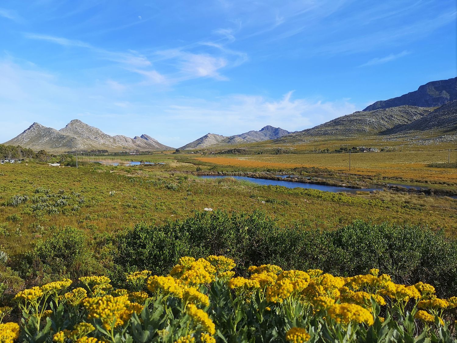 Топ-тур в Юар: треккинги, сафари и киты (9/64)