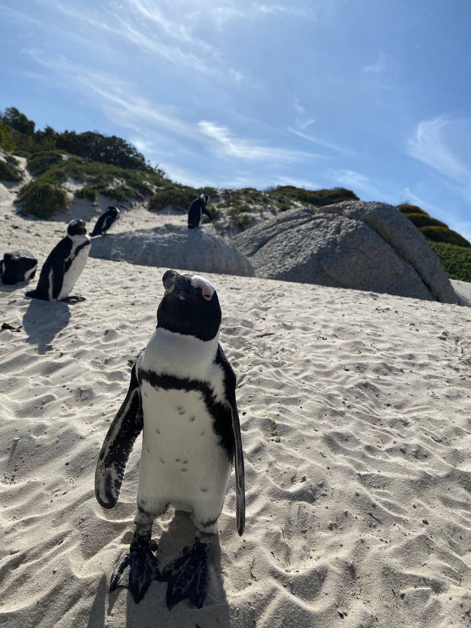 Другая Африка. Юар (3/22)