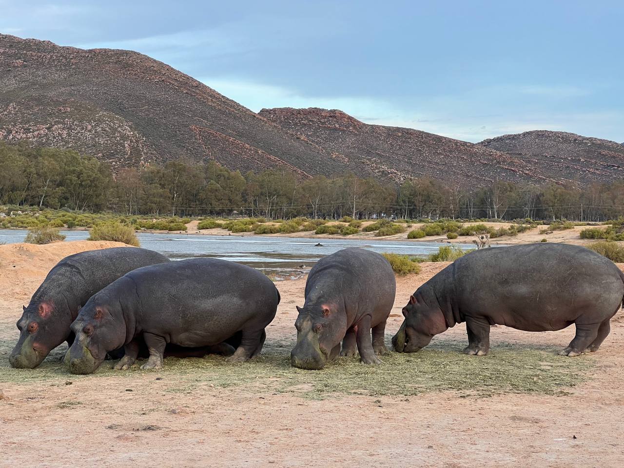 Другая Африка. Юар (5/22)