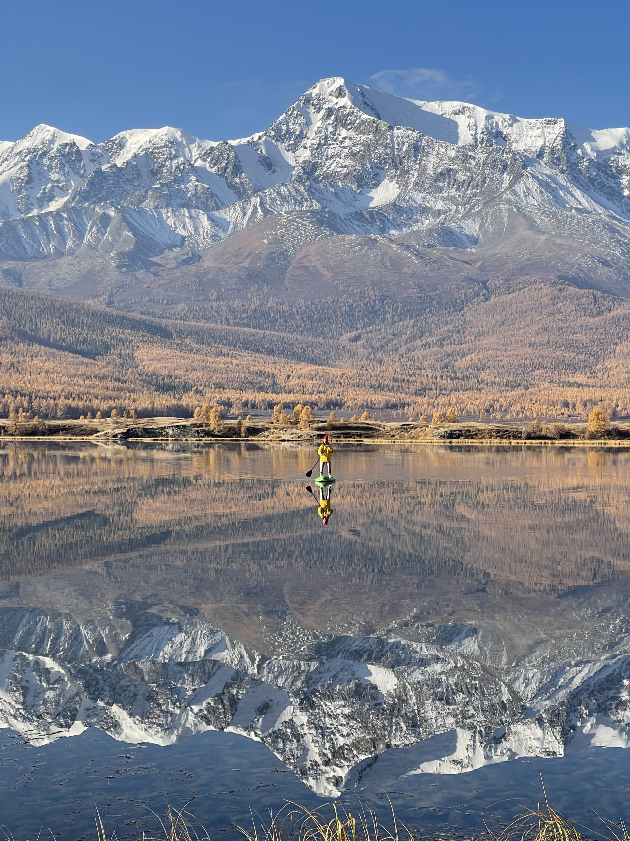 Золото осеннего Алтая (2/50)