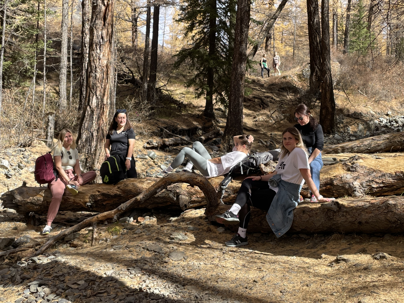 Золото осеннего Алтая (18/50)