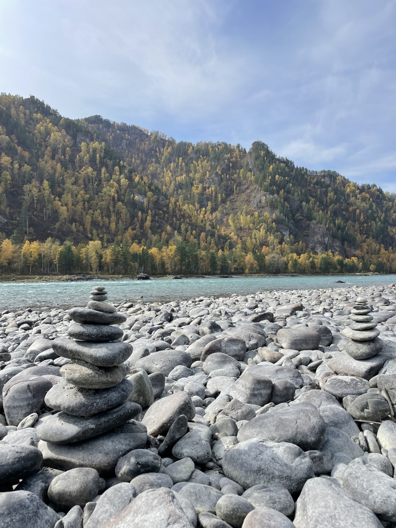 Золото осеннего Алтая (12/50)