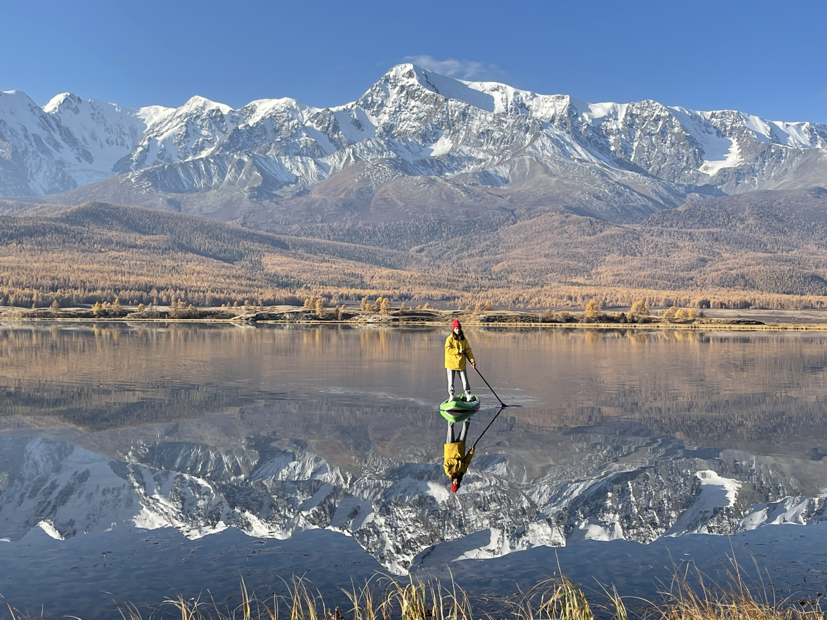 Золото осеннего Алтая (15/50)