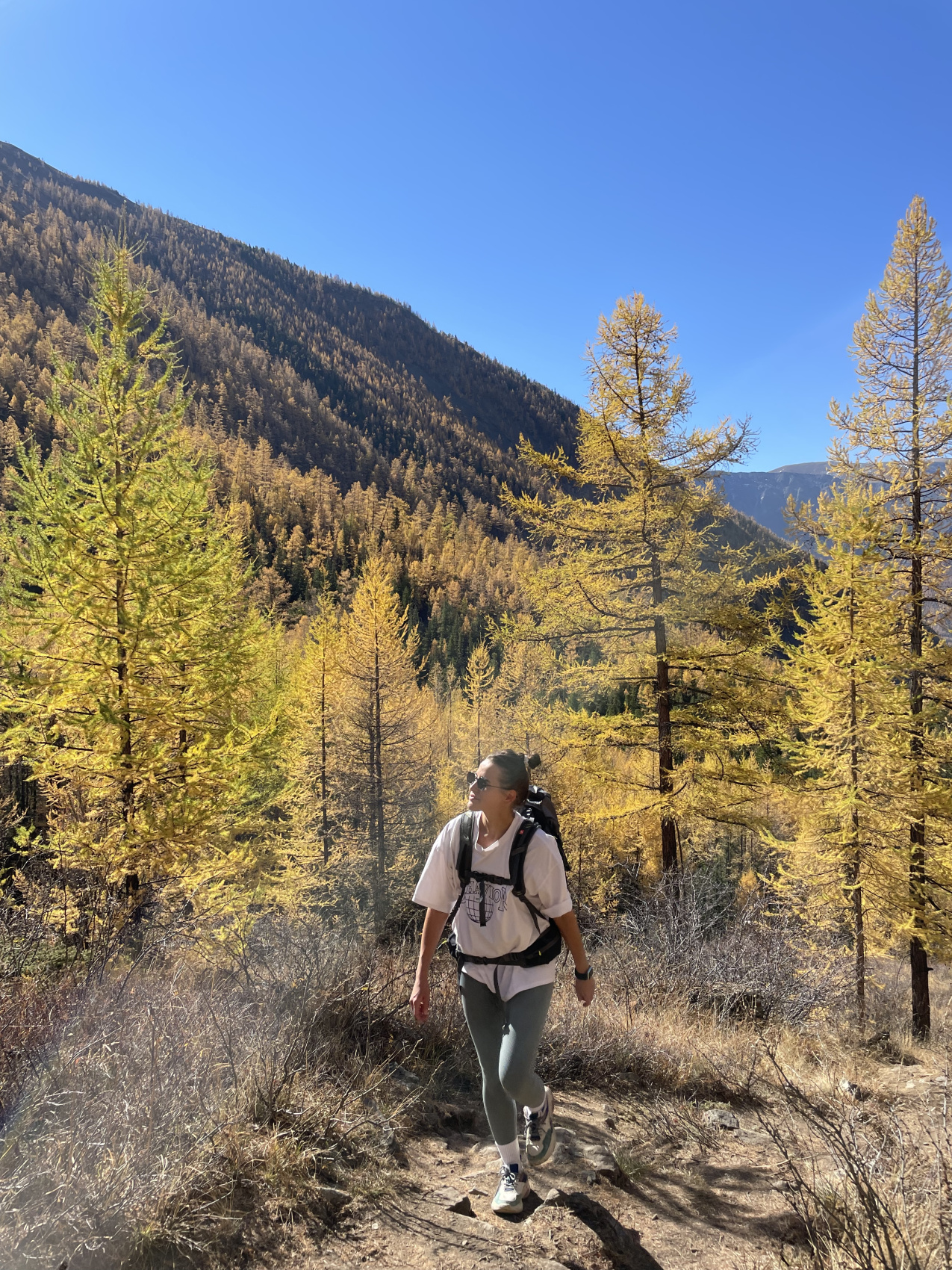 Золото осеннего Алтая (20/50)