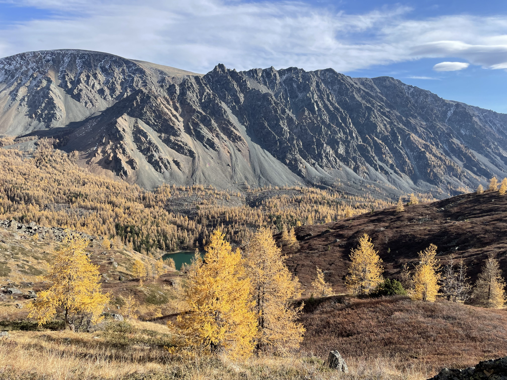 Золото осеннего Алтая (3/50)