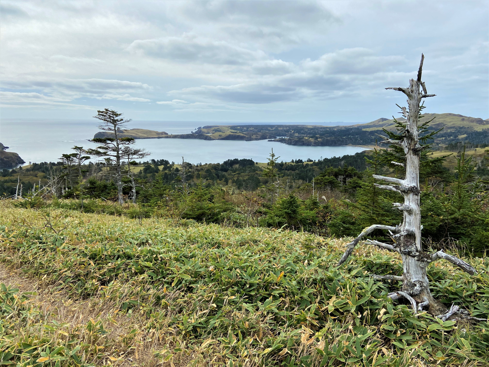 Экспедиция на Южные Курильские острова (5/51)