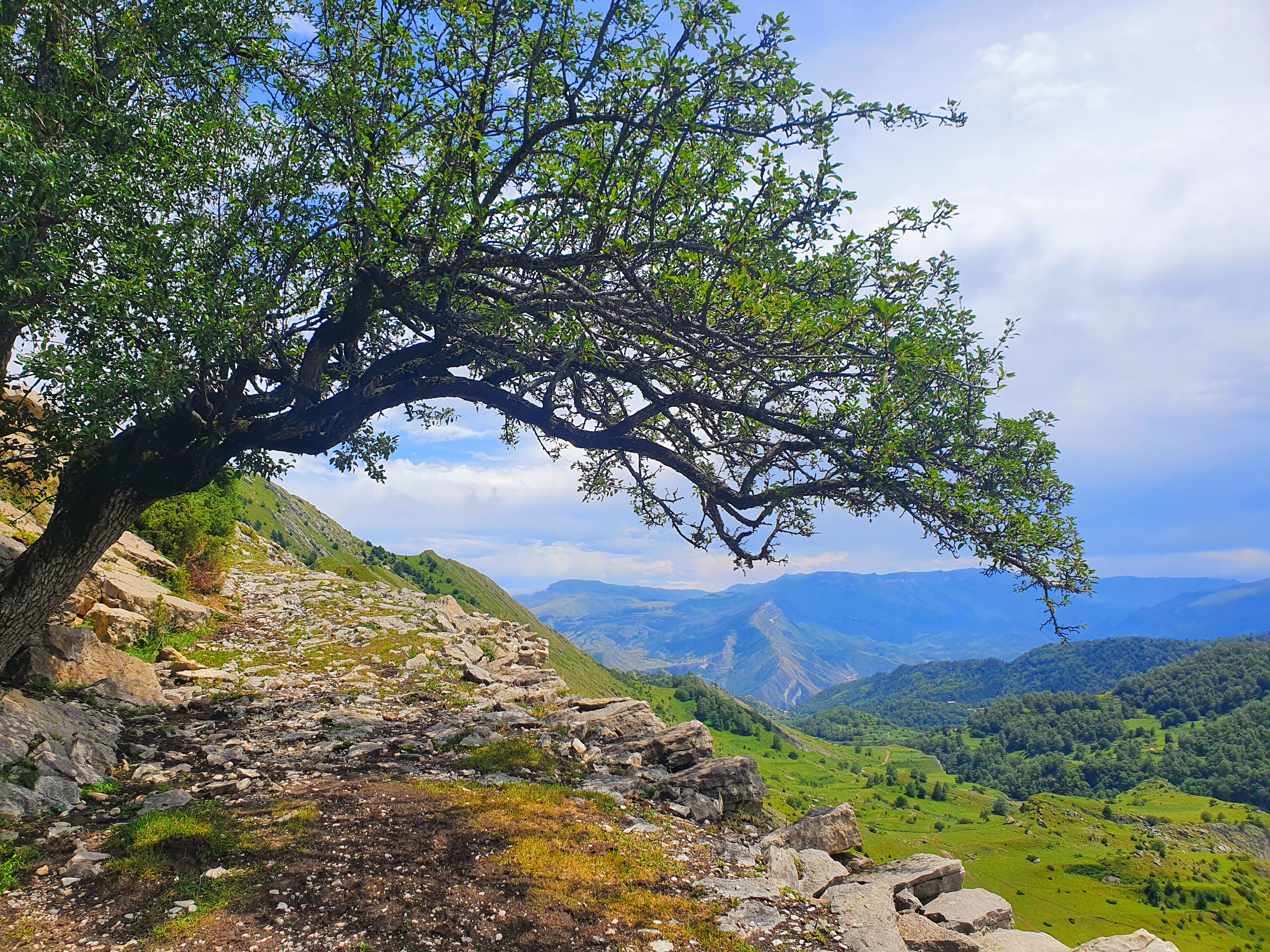 3 дня в Дагестане! Всё включено! (98/100)