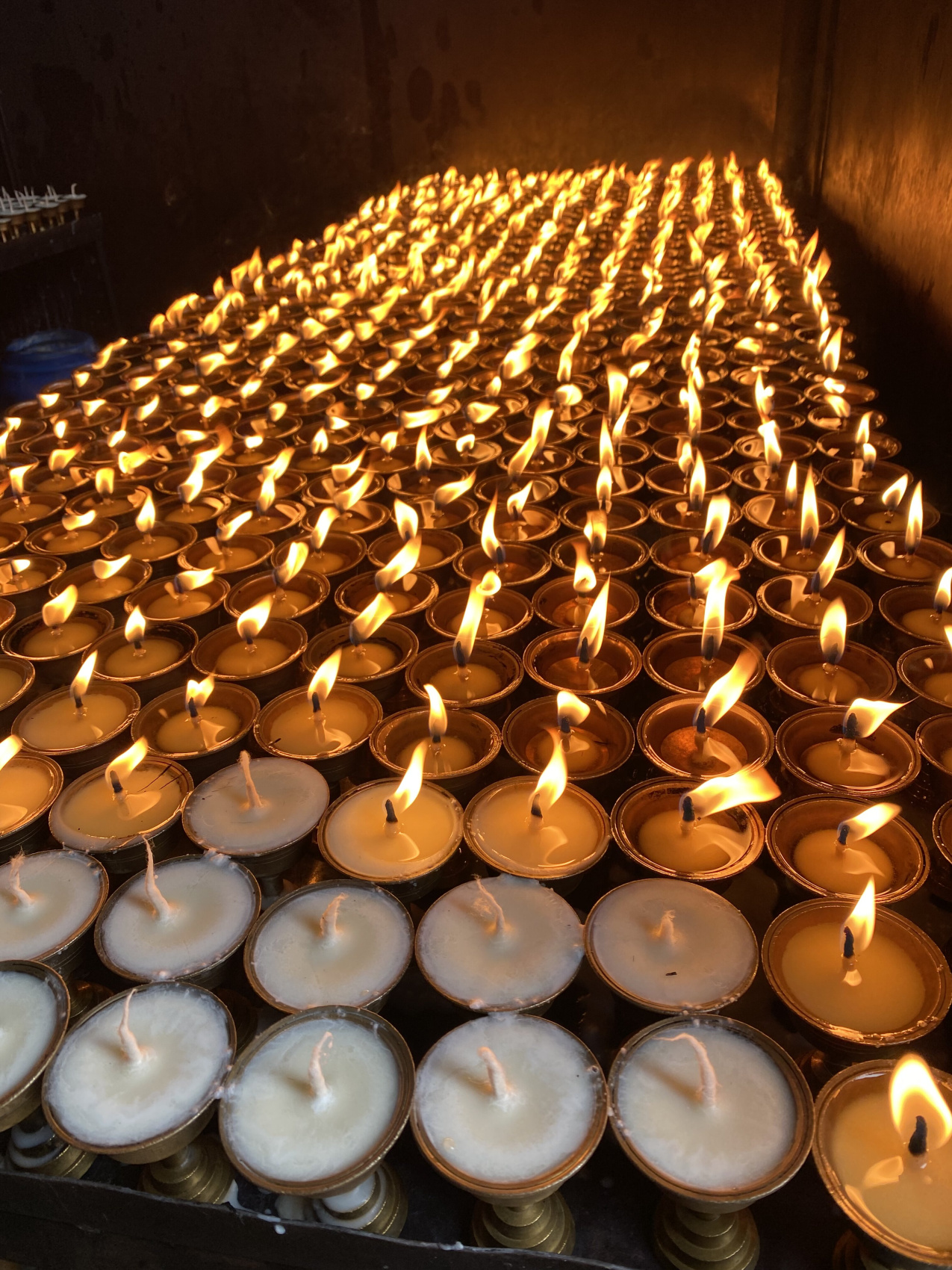 Непал: трекинг Марди Химал,  парк Читван и долина Катманду (6/45)