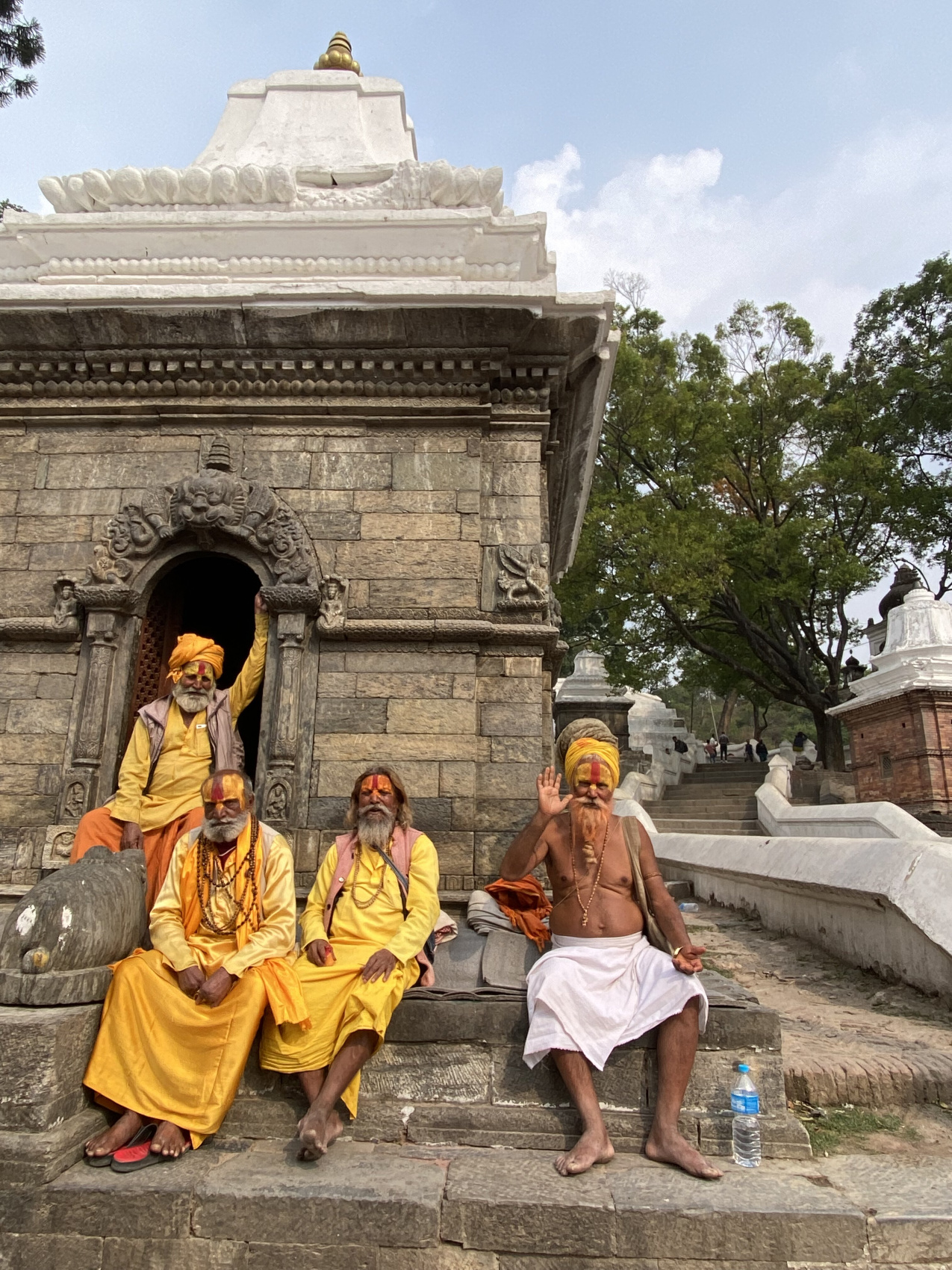 Непал: трекинг Марди Химал,  парк Читван и долина Катманду (4/45)