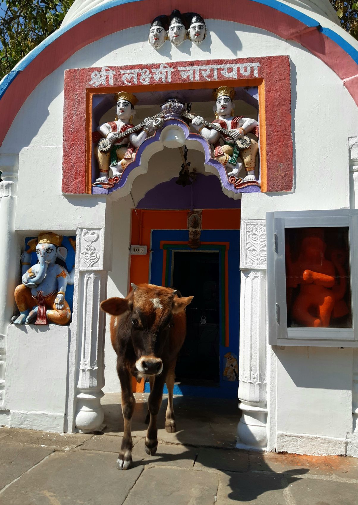 Безмолвие Индии: путешествие - погружение от озера Ревалсар до вершин Дхарамсалы (5/44)