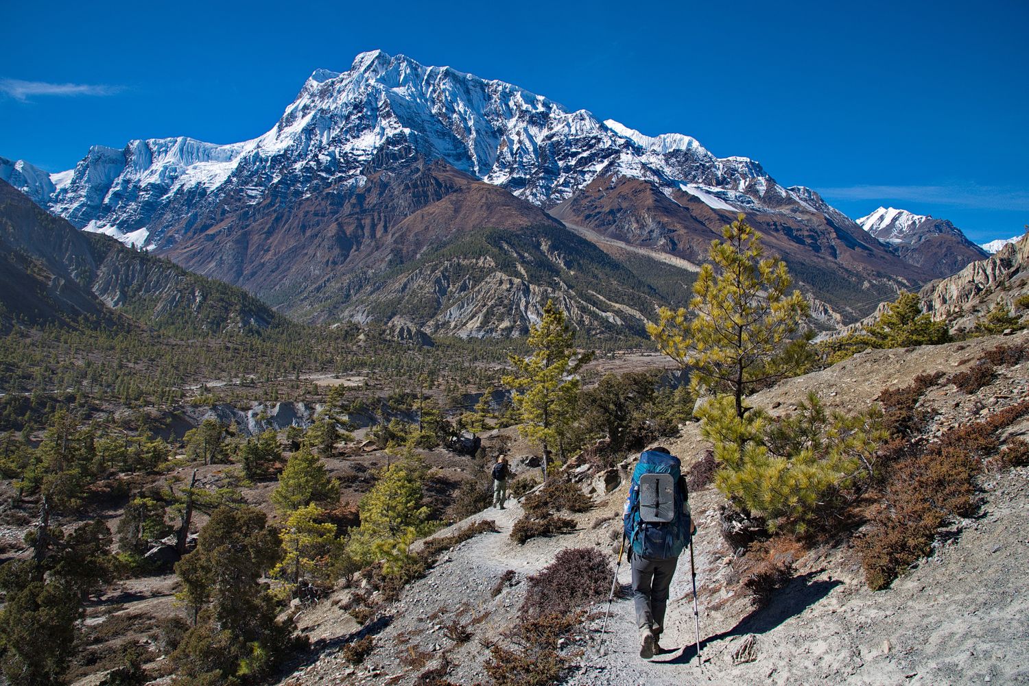 Трек вокруг Аннапурны + оз. Тиличо (48/153)