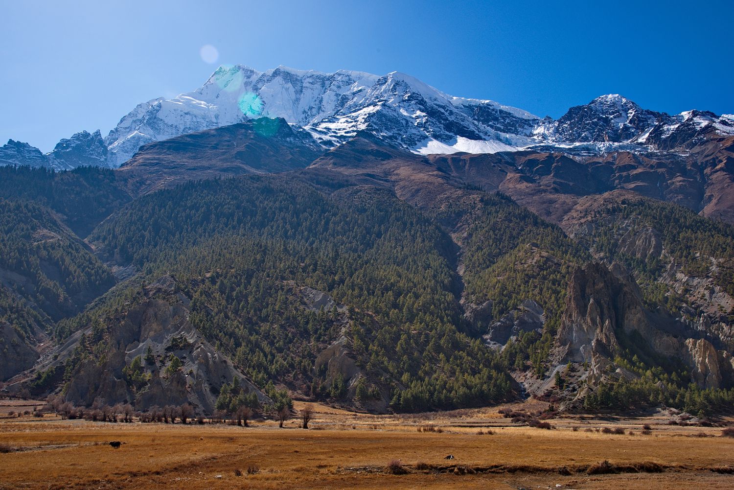 Трек вокруг Аннапурны + оз. Тиличо (53/153)