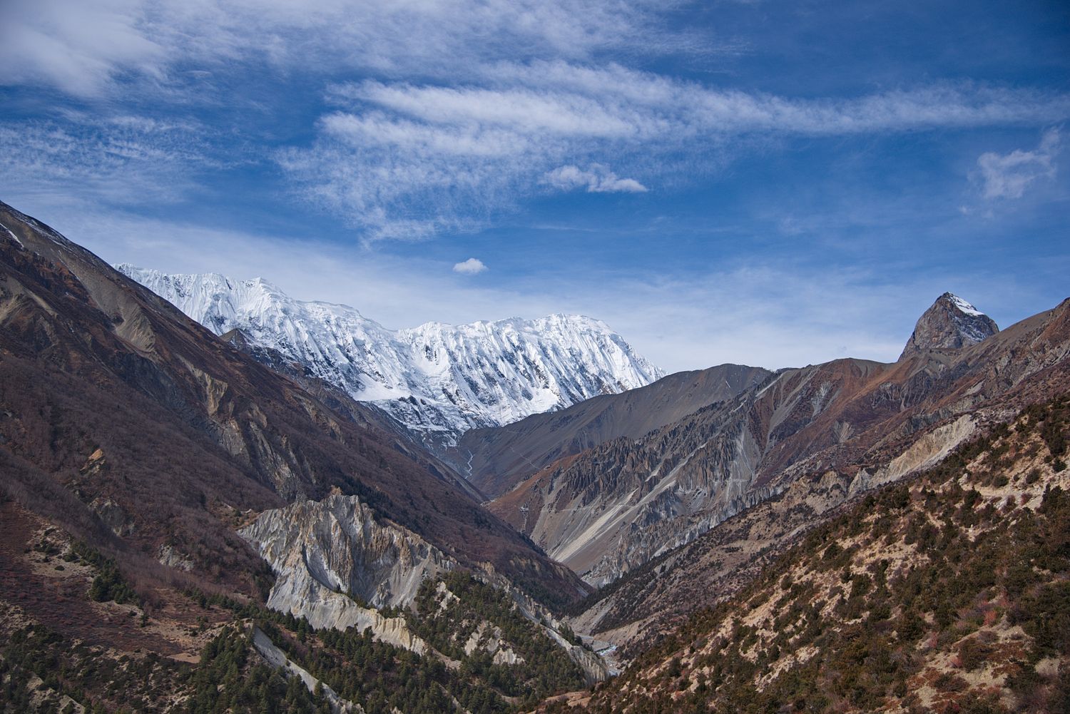 Трек вокруг Аннапурны + оз. Тиличо (68/153)