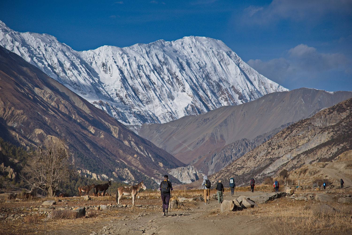 Трек вокруг Аннапурны + оз. Тиличо (62/153)